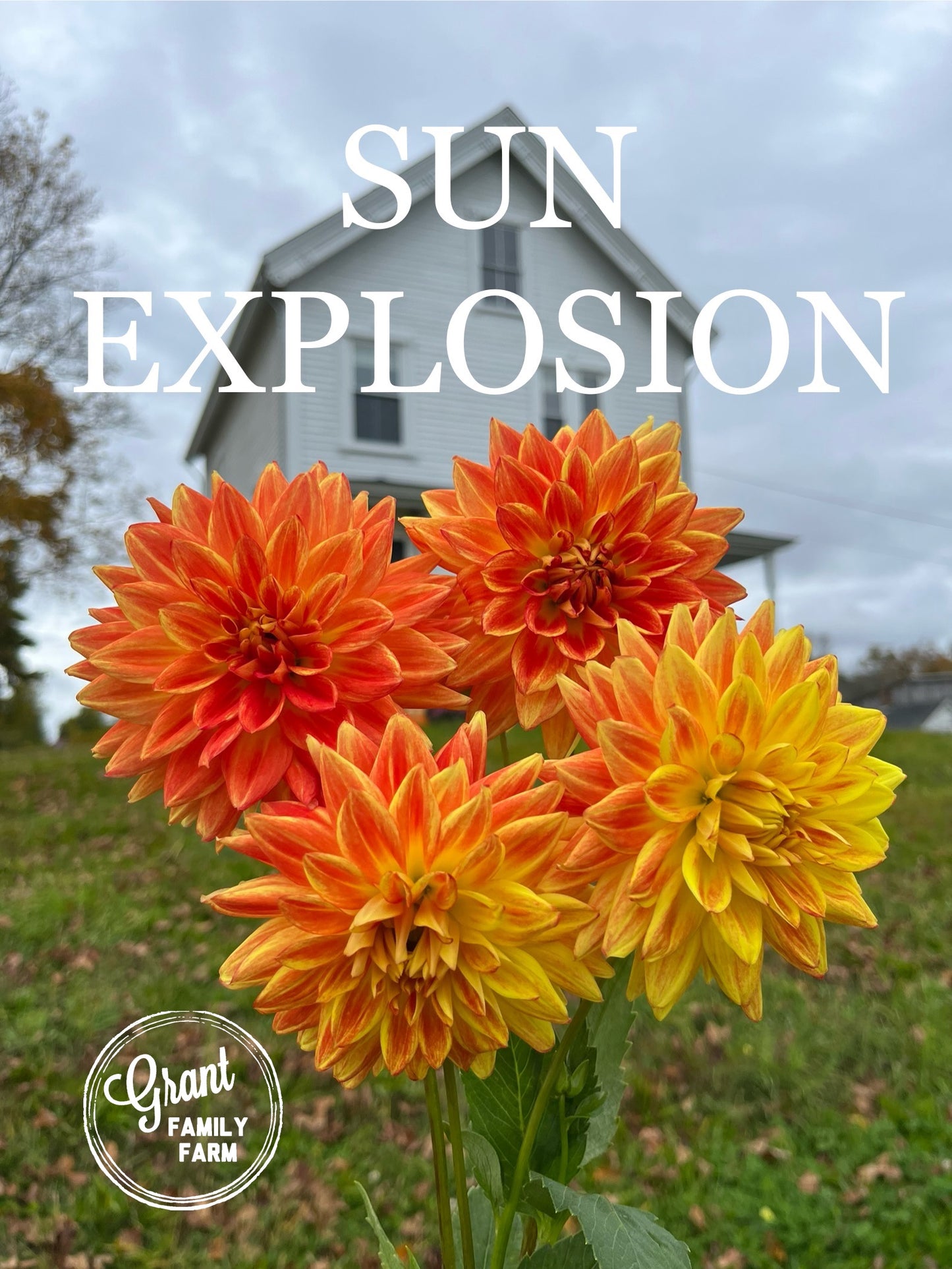 Sun Explosion