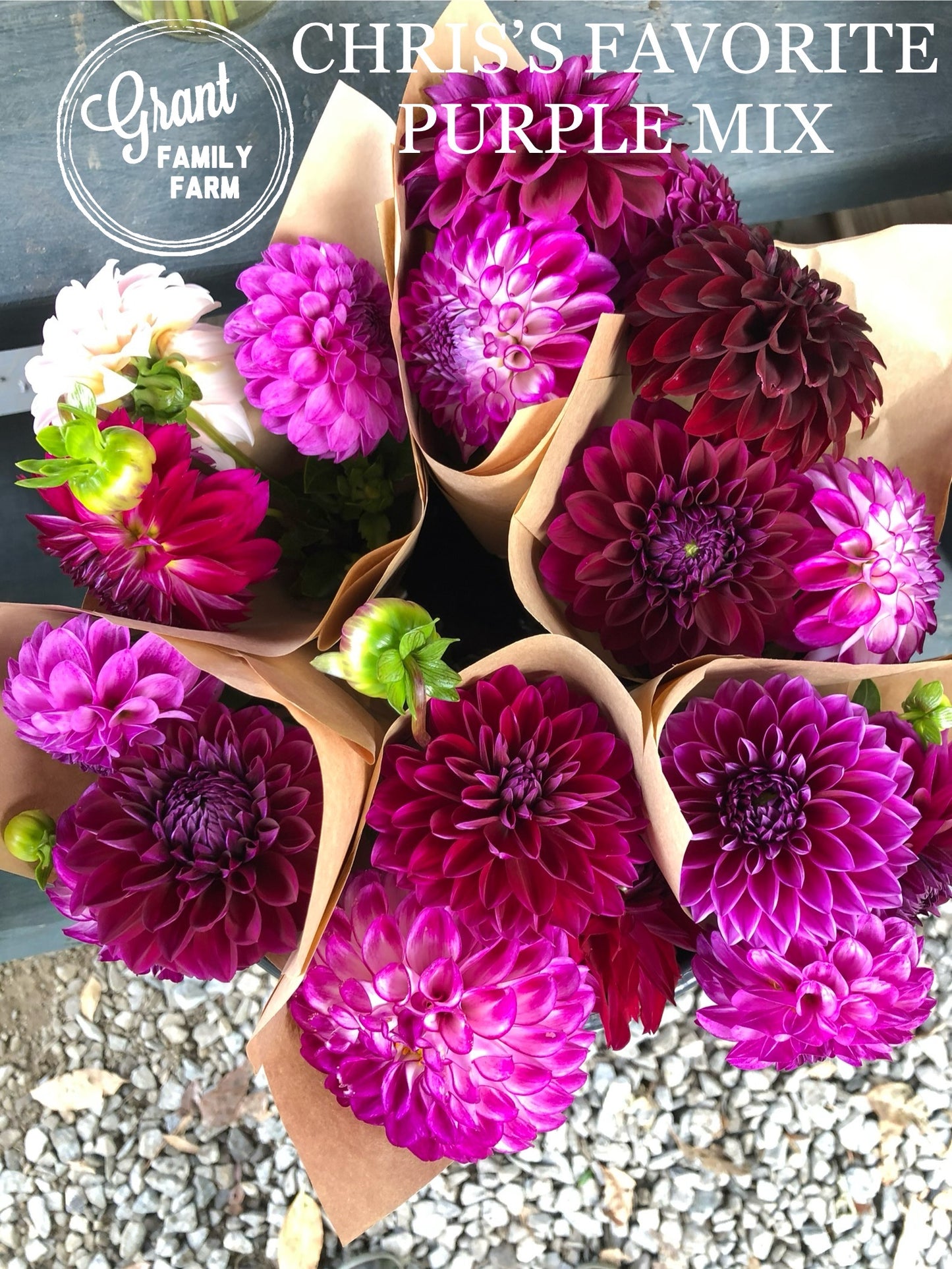 Chris's Favorite Purple Mix