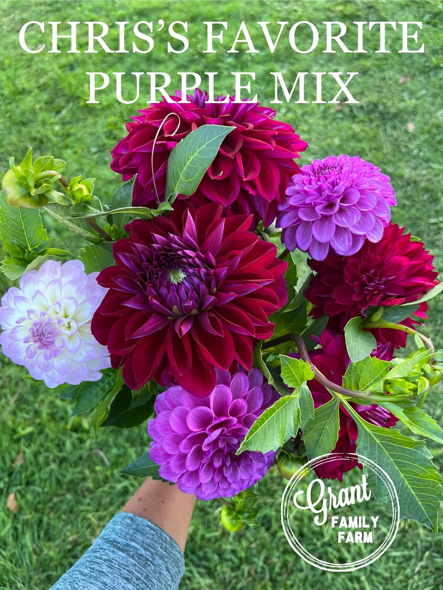 Chris's Favorite Purple Mix