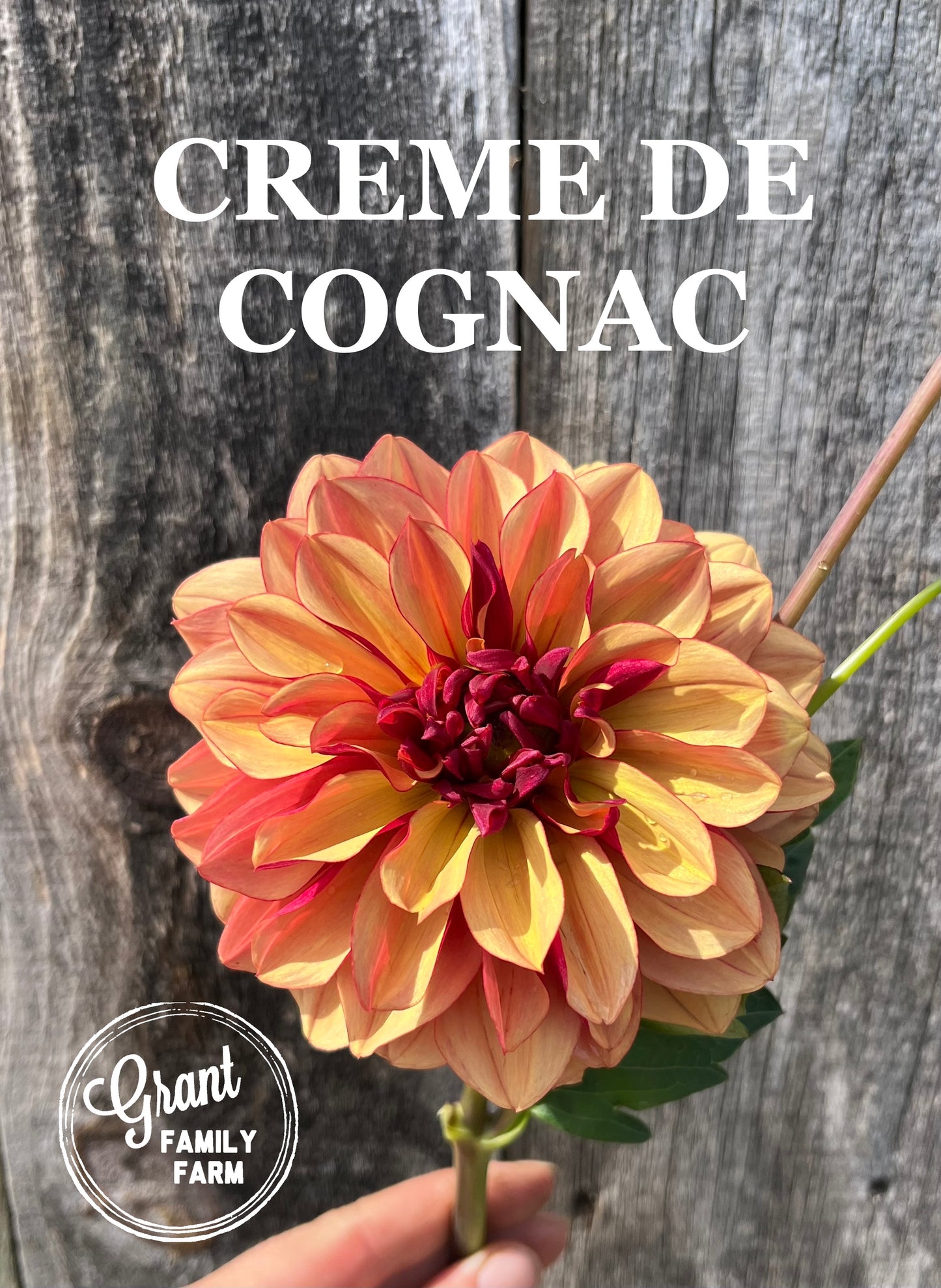 Créme De Cognac
