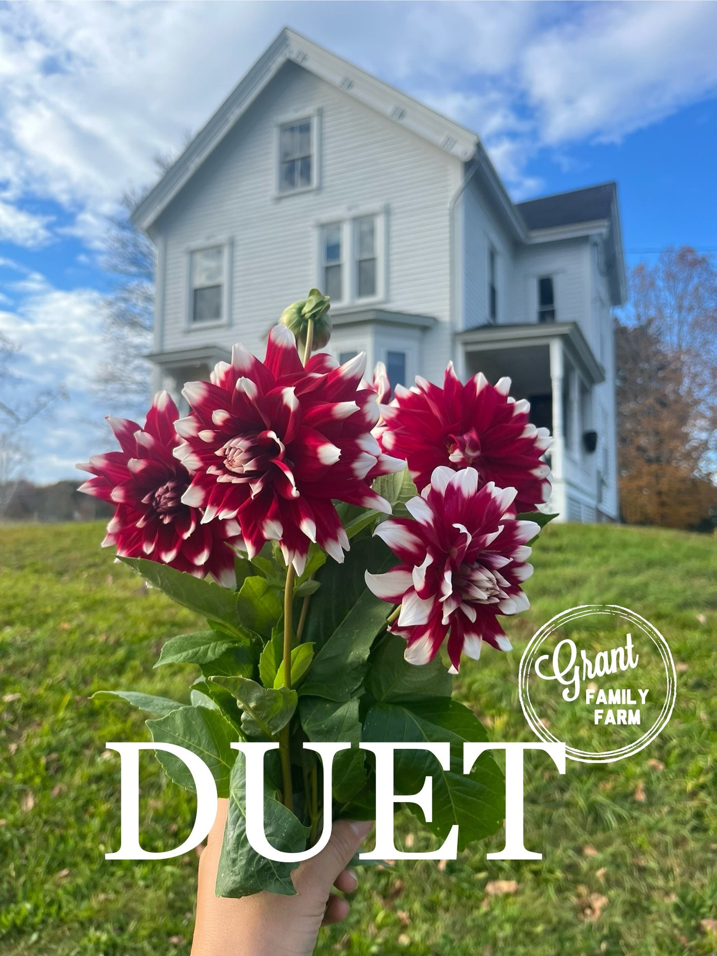 Duet