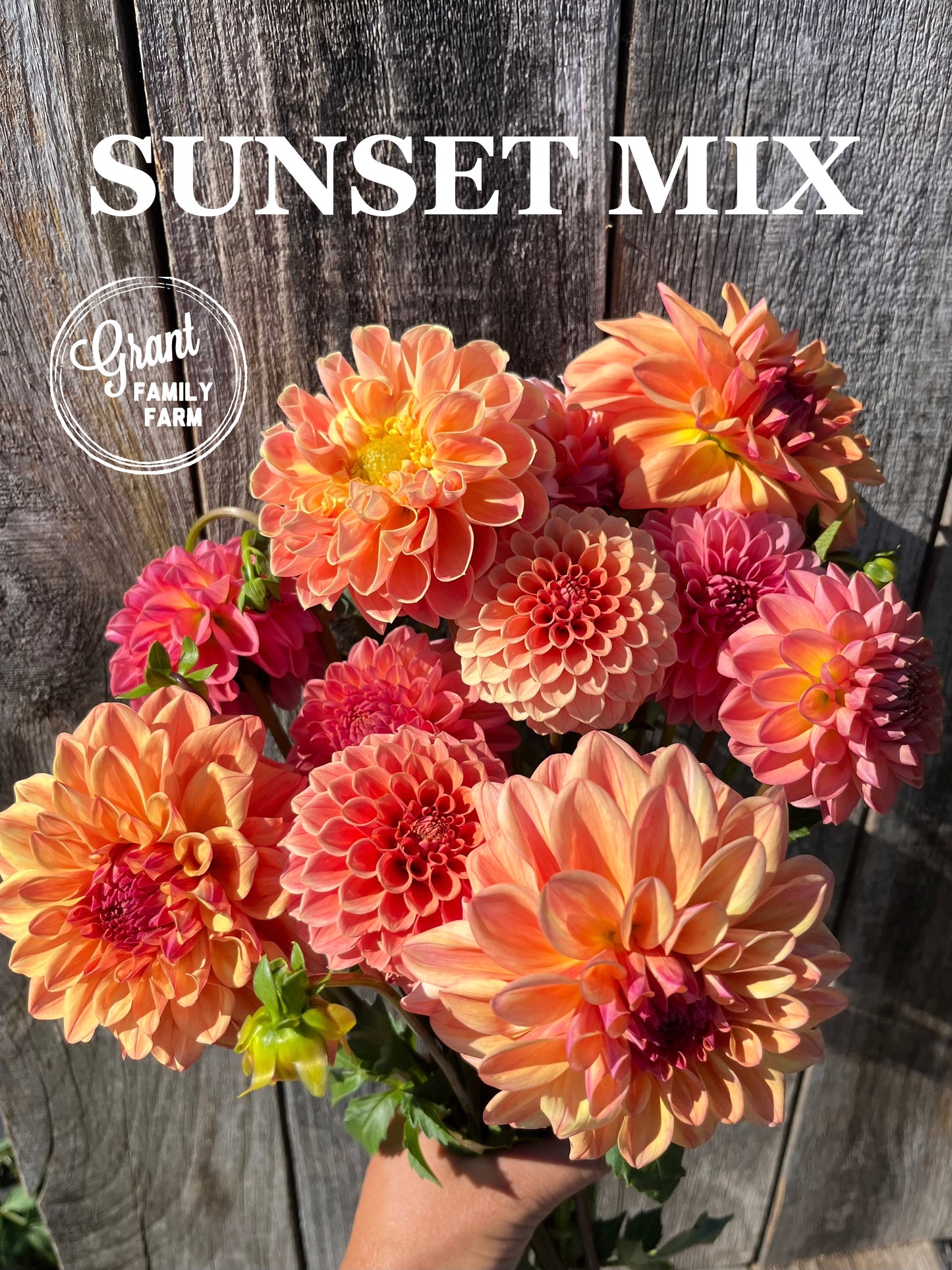 Sunset Mix