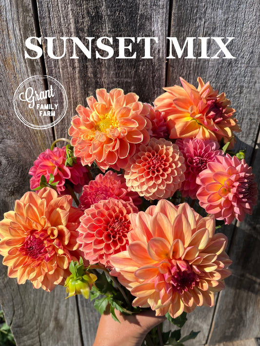 Sunset Mix