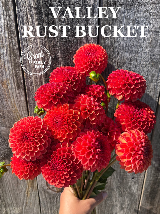 Valley Rust Bucket